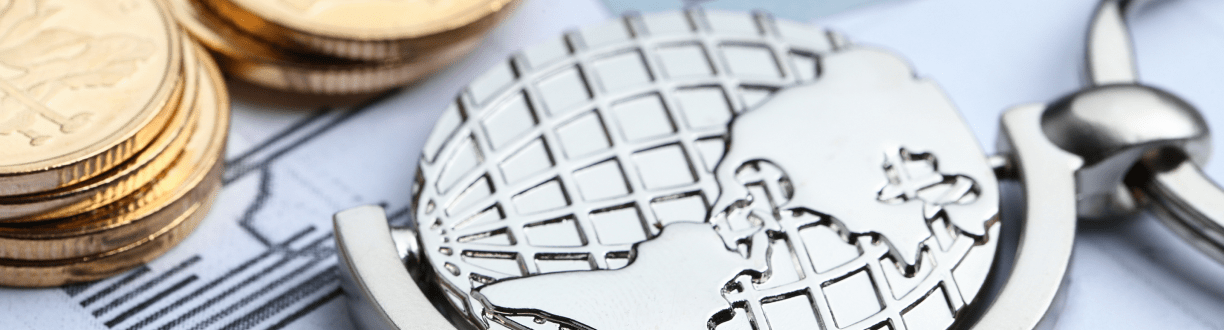 Company with foreign investment