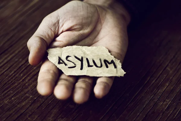Asylum seekers workforce