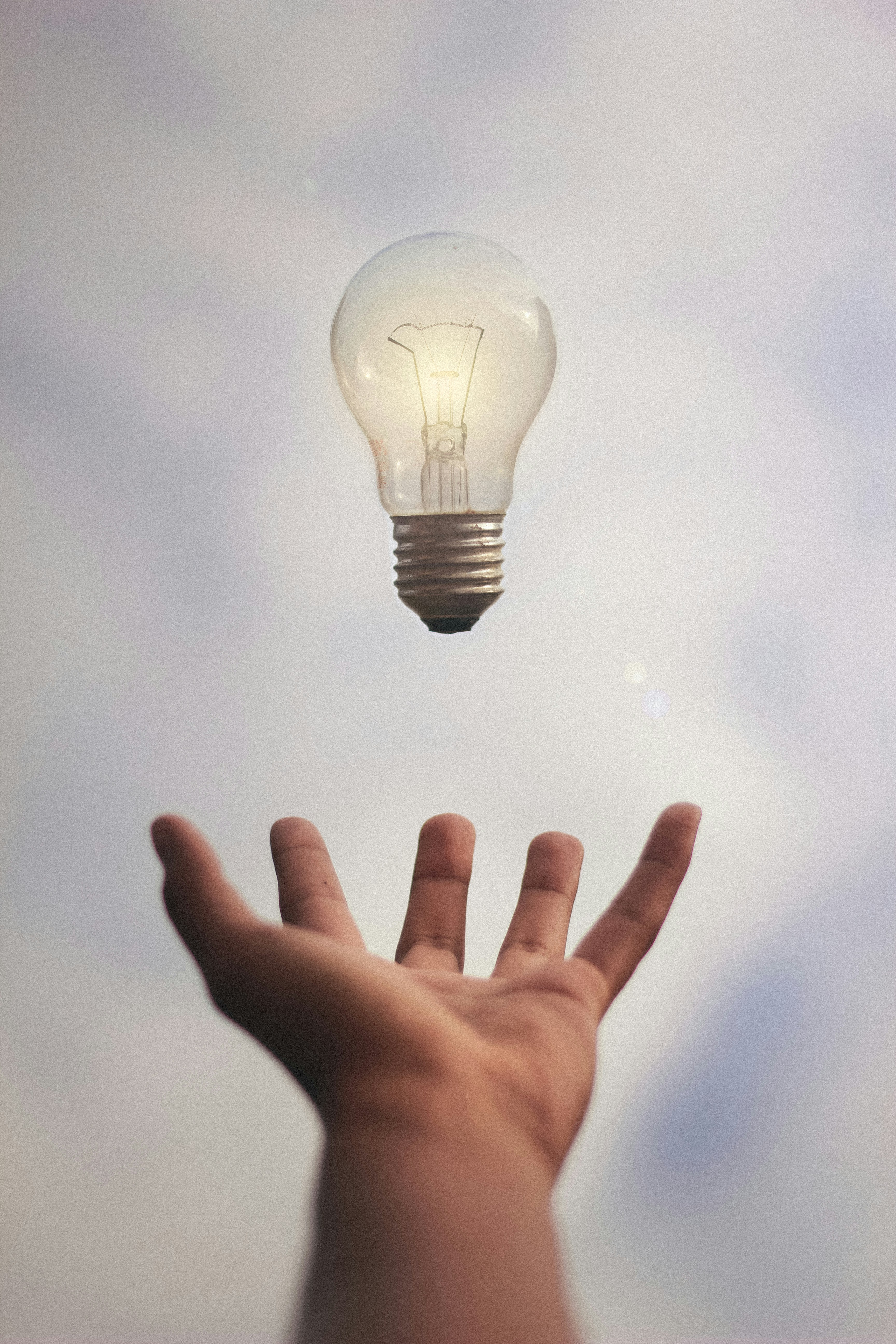 idea IP