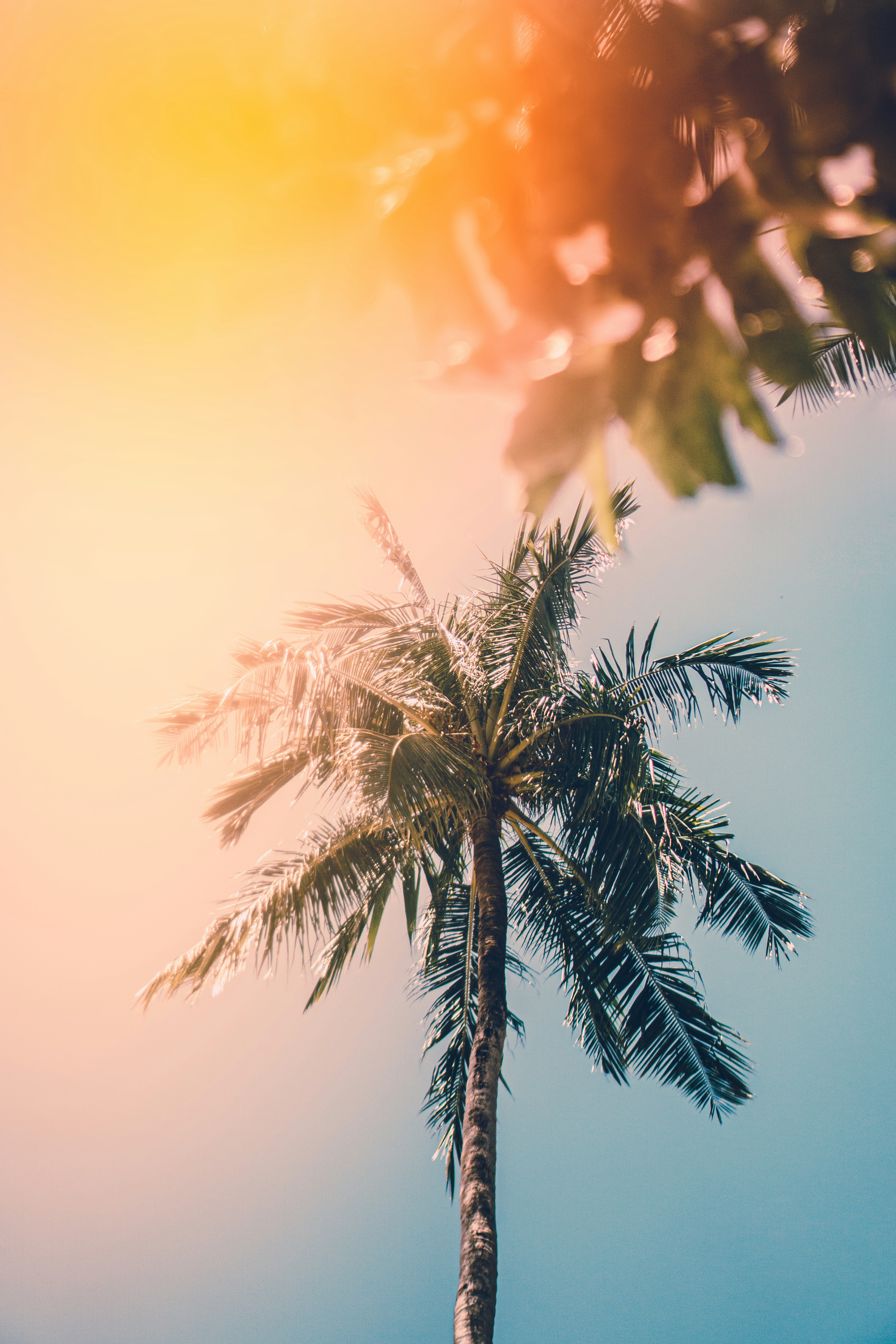 summer in cyprus