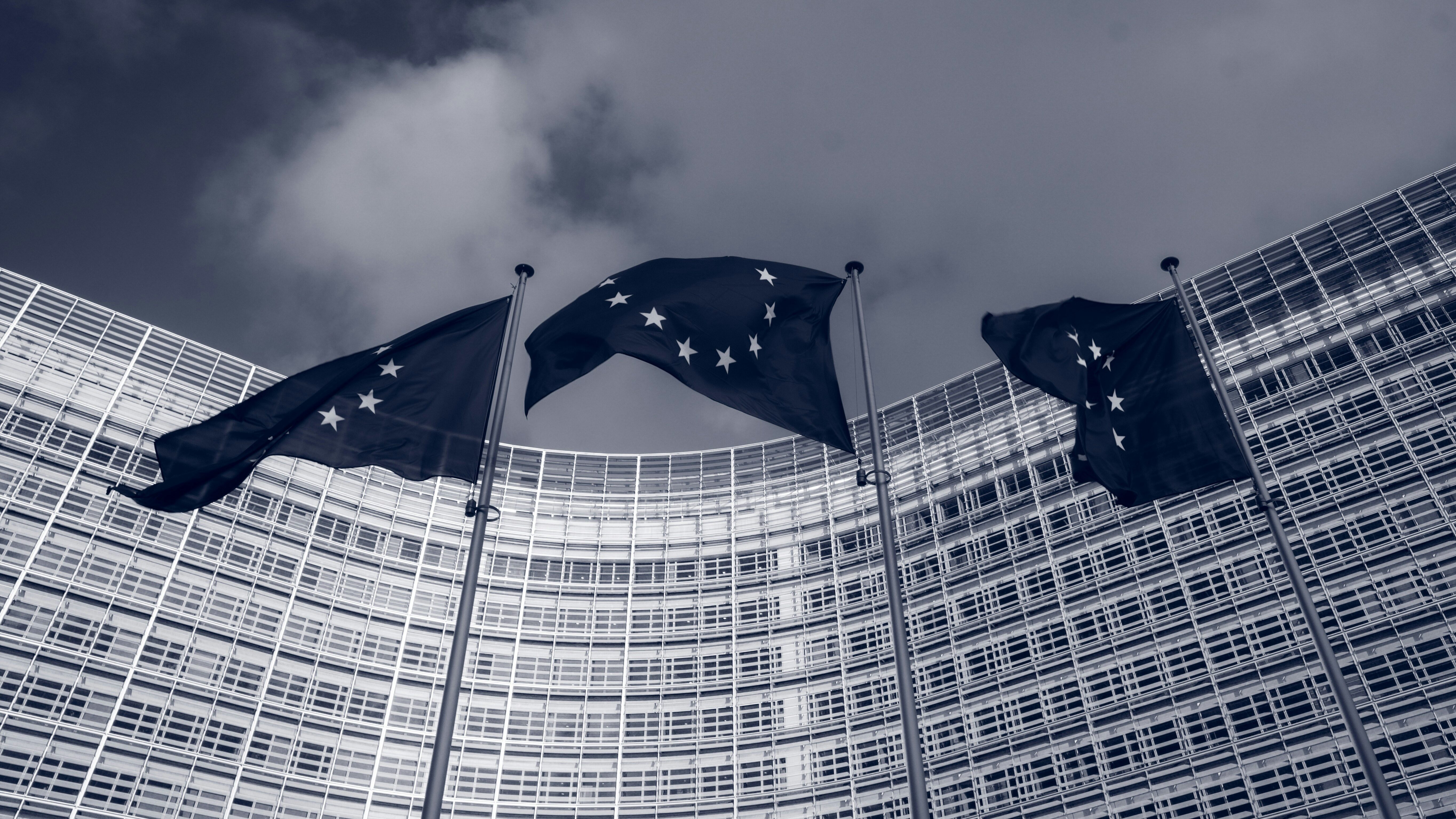 EU membership