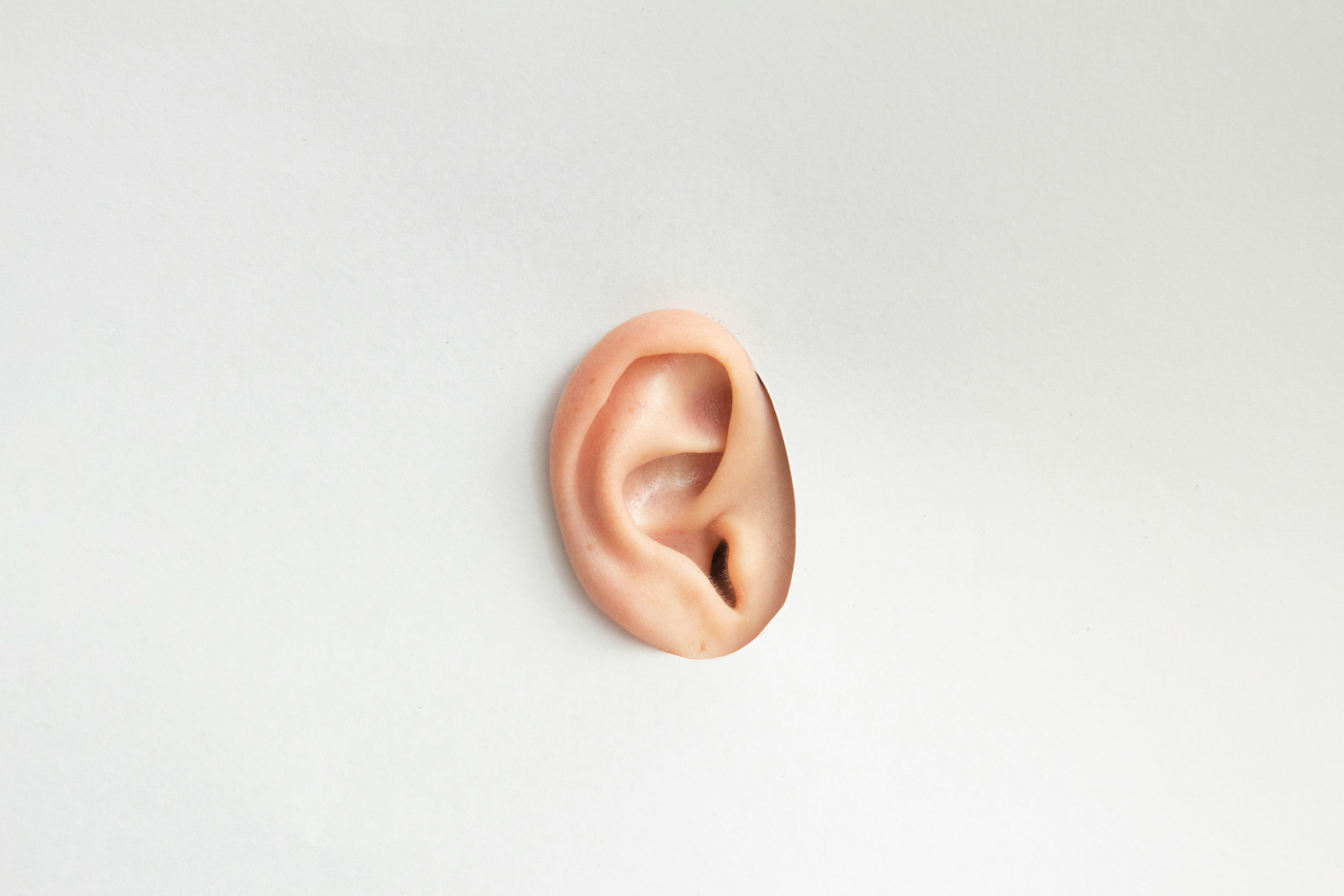 audio audio