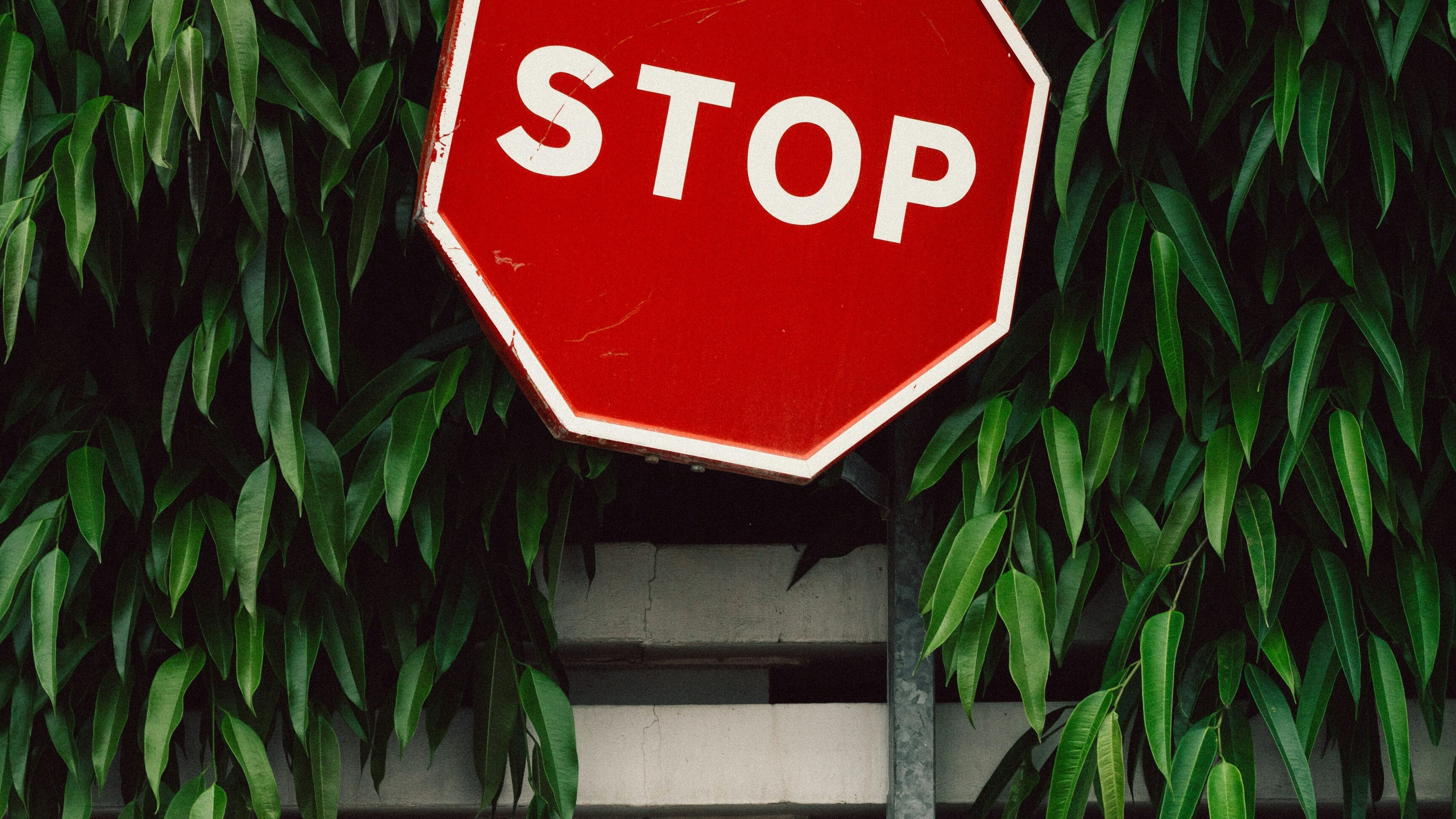 visa application rejected